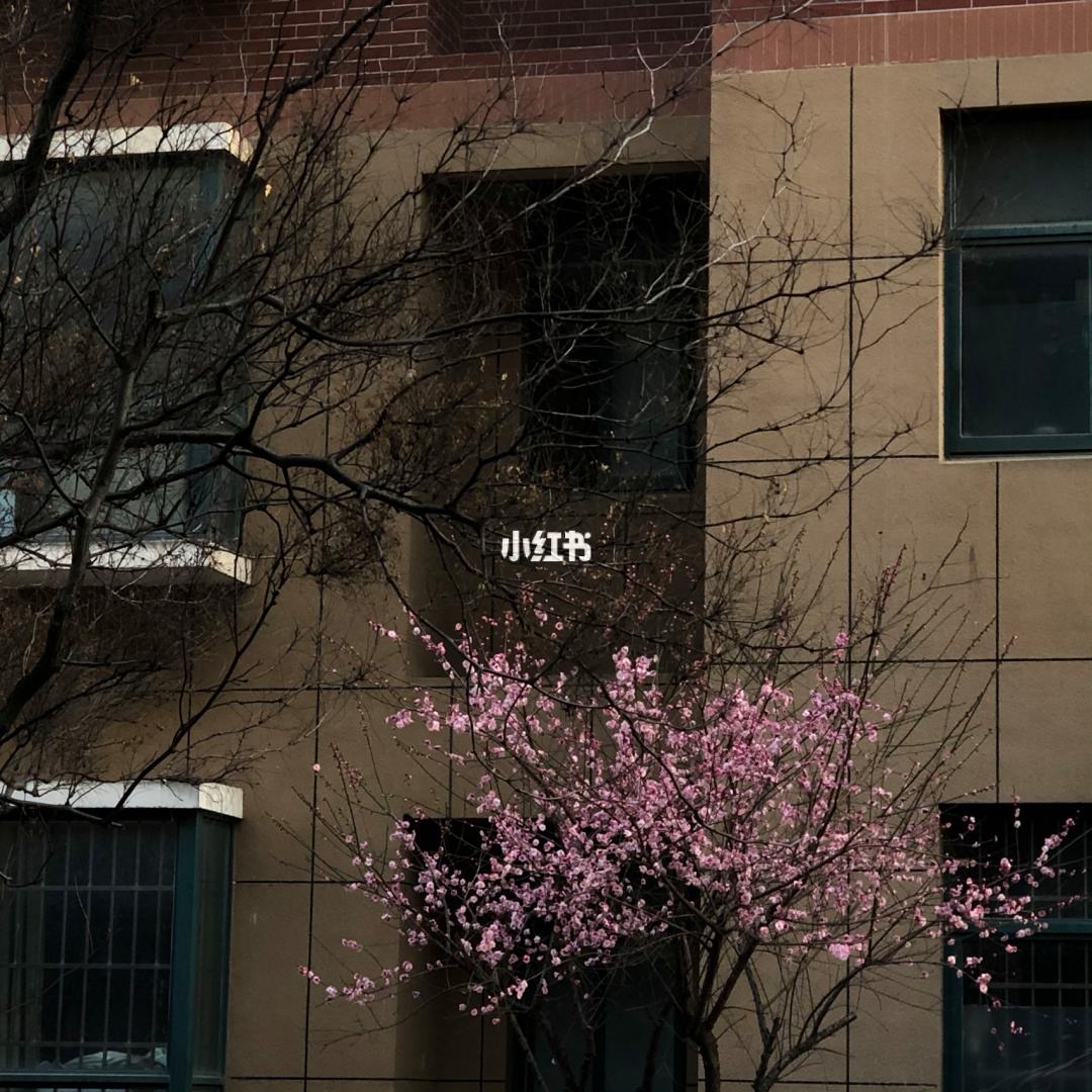 讲解！重新随机“雁过留声”