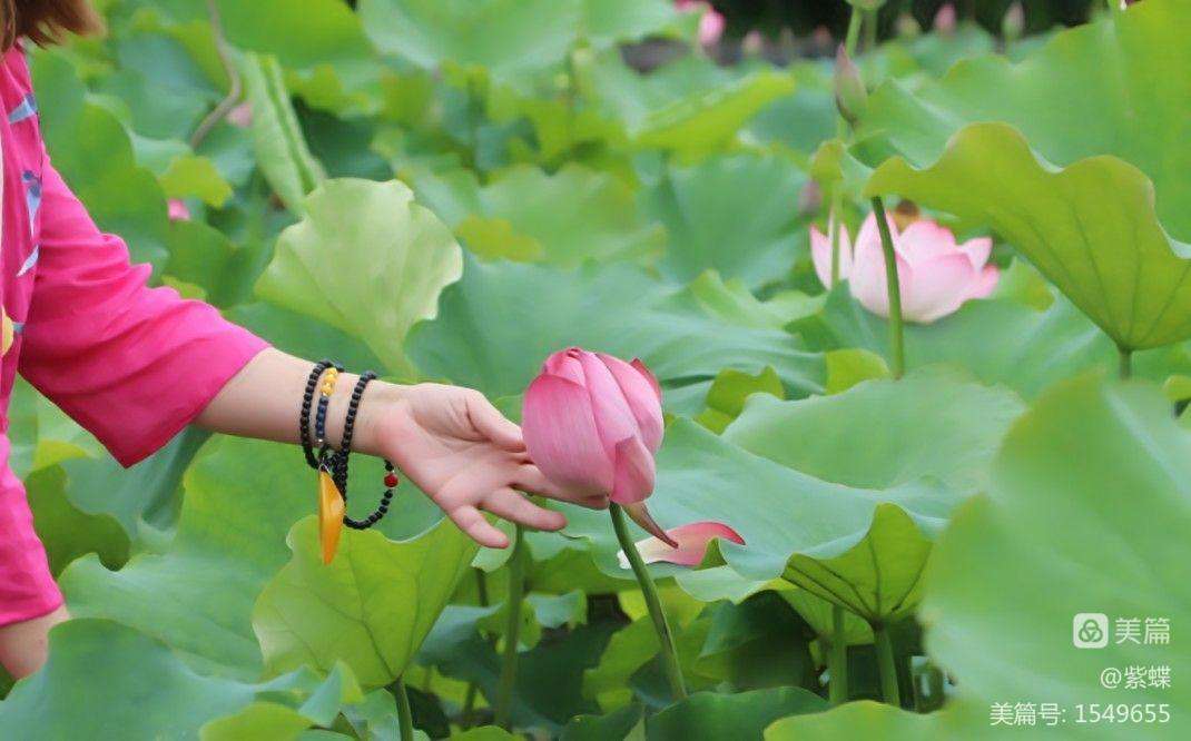 讲解！女人的心是玻璃做的“星星点点”