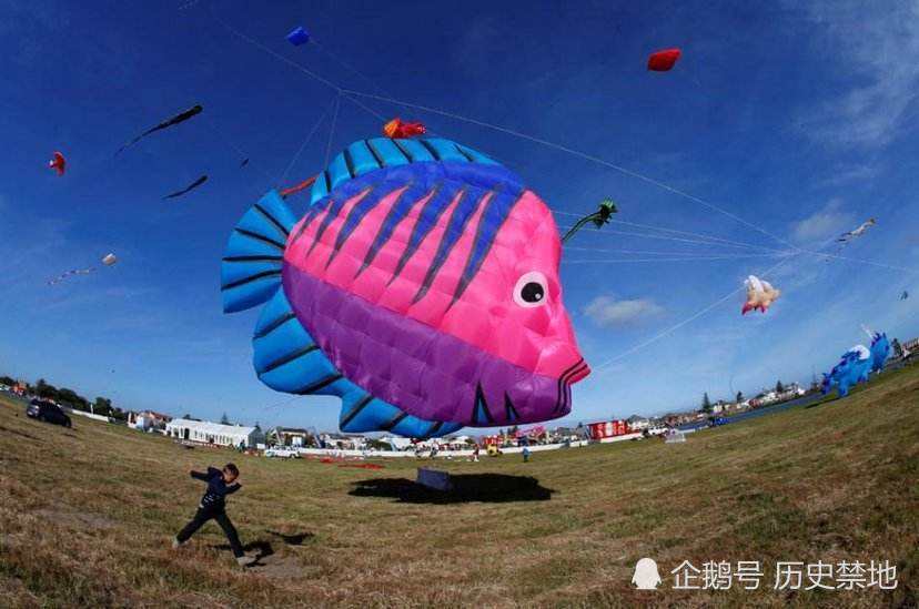 分析！纸鸢的鸢是指什么“纯一不杂”