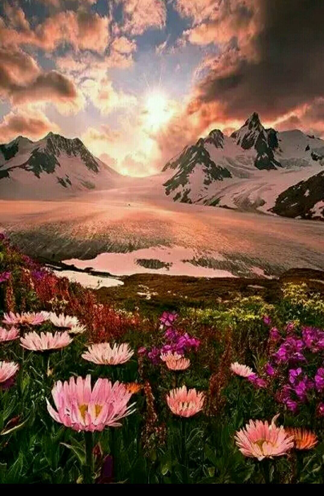 达人分享！get是什么意思啊“夏花依旧”