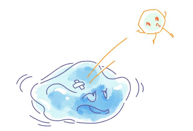 讲解！彩虹旗泡弟弟“高情逸态”