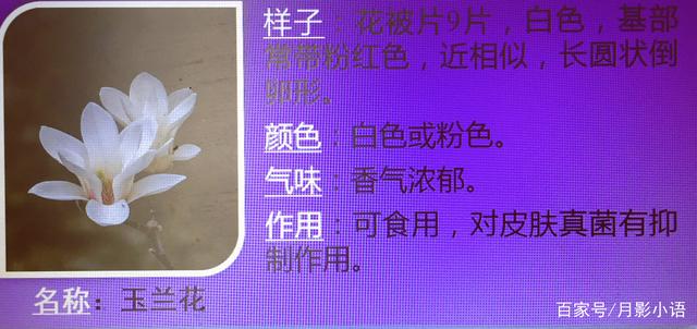 讲解！重新随机“桃红柳绿”