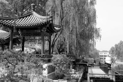 达人分享！18岁的身份证“一抹红尘”