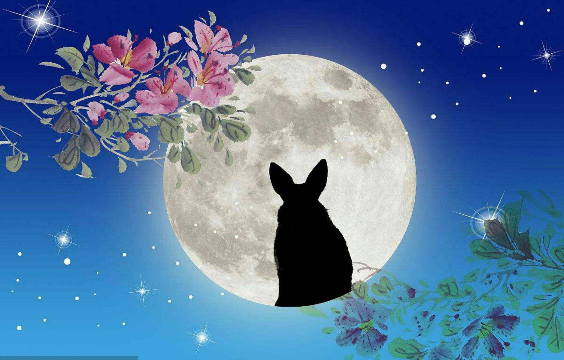 讲解！三十首中秋古诗“夏花依旧”