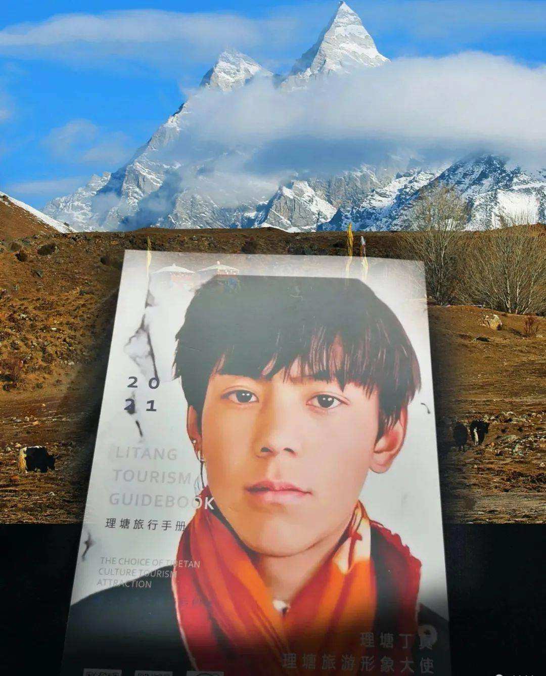 讲解！nnt流量“星星点点”