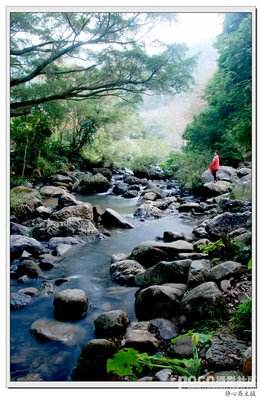 讲解！2月29号代表什么“空谷幽兰”