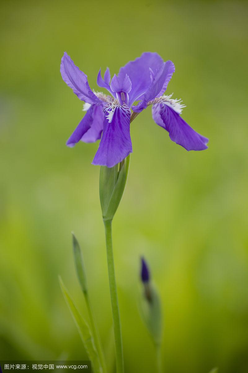 达人分享！定位怎么定“空谷幽兰”