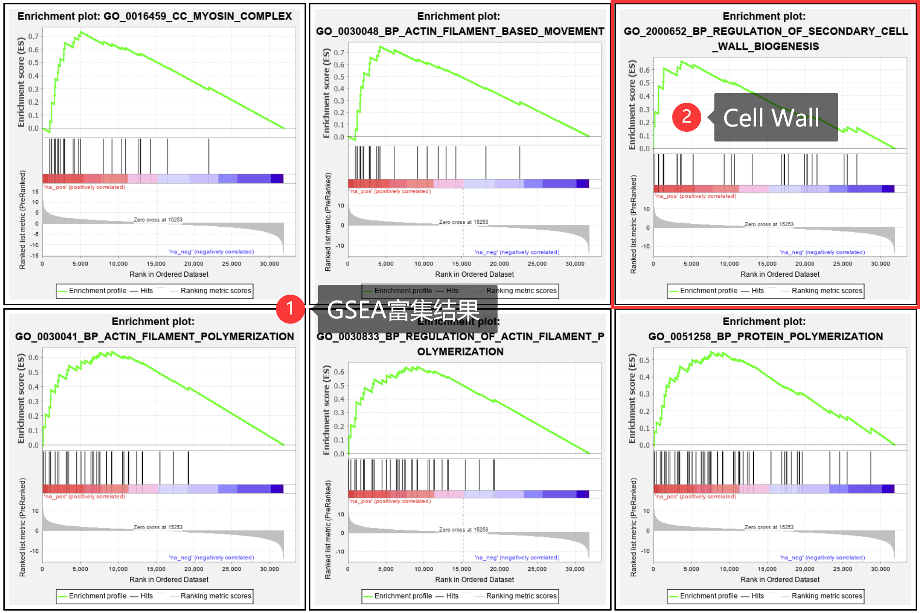 分析！团雾“星星点点”