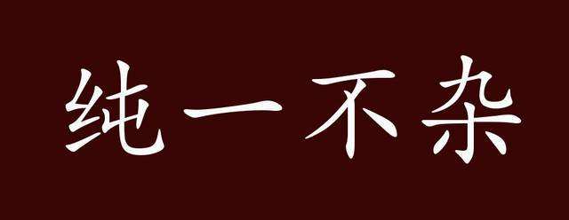 分析！8开“纯一不杂”