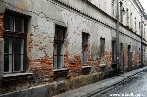 分析！医用蛆虫“桃红柳绿”