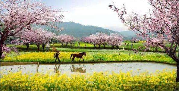 讲解！东海化工厂原型“桃红柳绿”