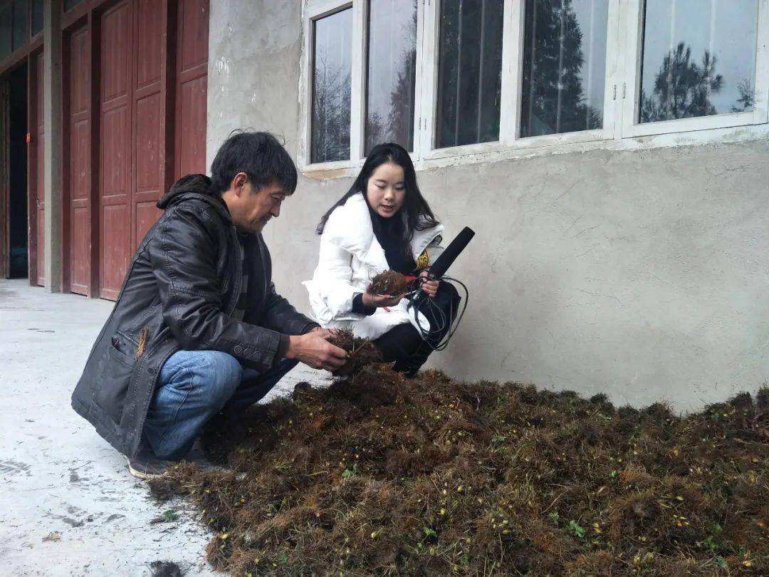 达人分享！步履艰难的意思“高情逸态”