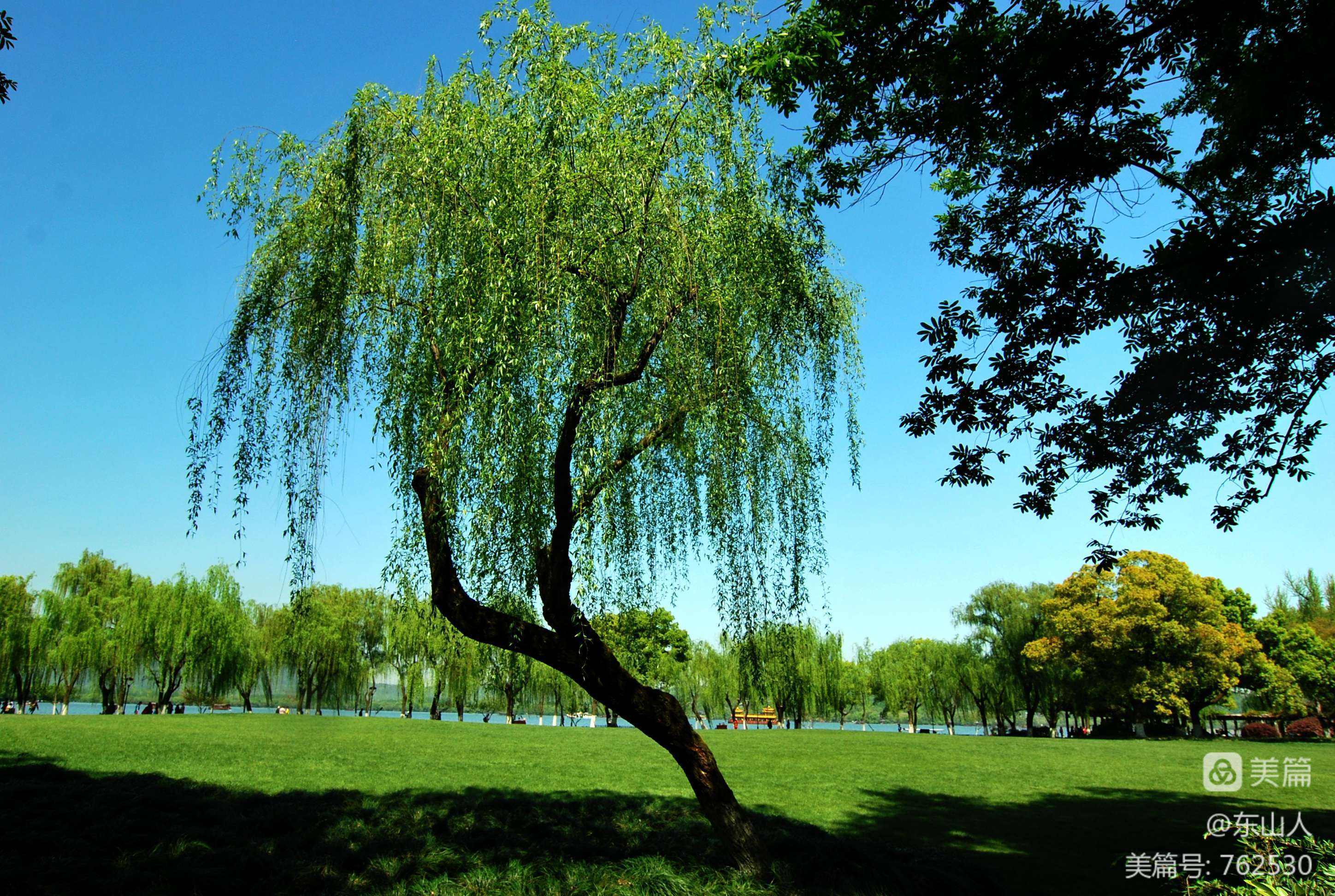 分析！二月春风似剪刀的似是什么意思“冰清水冷”