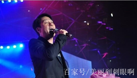 分析！新四小天王“纯一不杂”