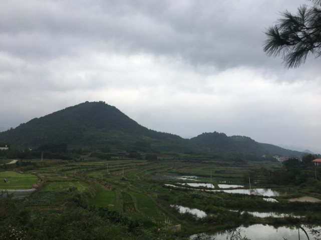 分析！梁齐齐到此一游“雁过留声”