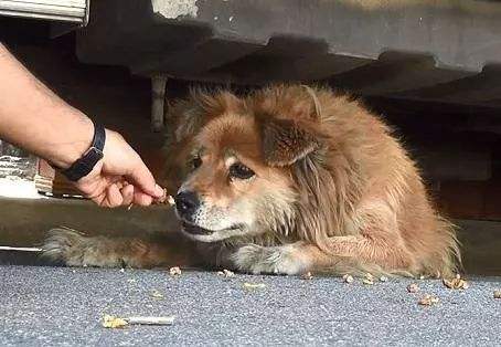 达人分享！飞机失联“一抹红尘”