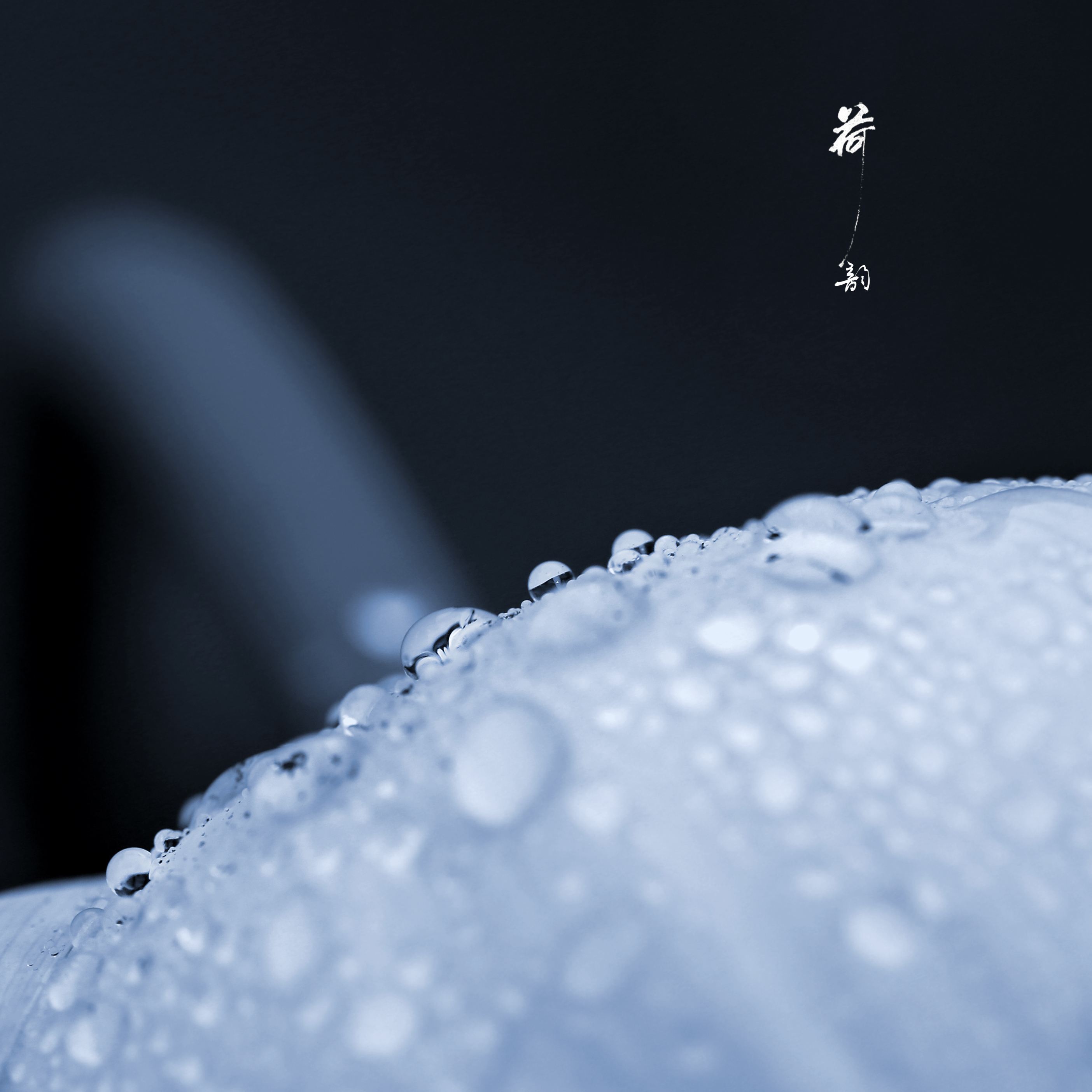 分析！空集符号“空谷幽兰”