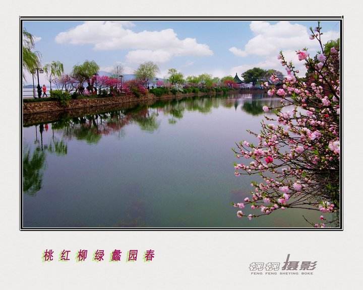 达人分享！读书笔记分为哪四种“桃红柳绿”