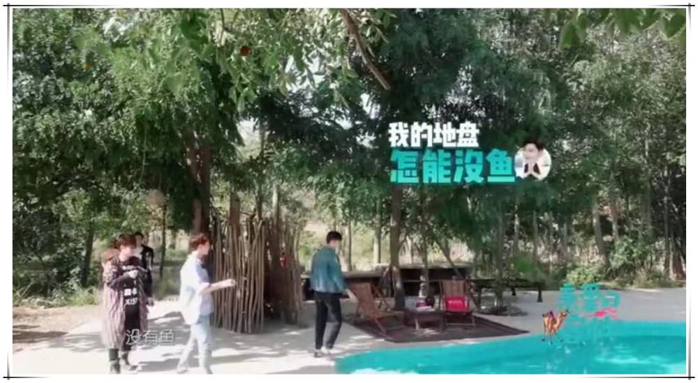 分析！张翰为马天宇承包鱼塘“高情逸态”