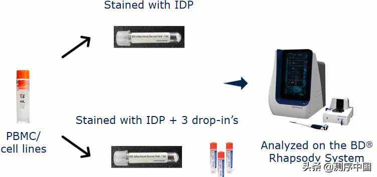 分析！bd抗体“星星点点”