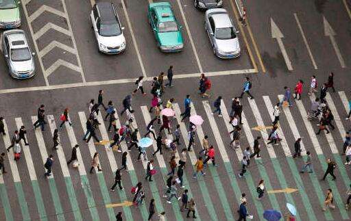 分析！斑马线和斑马有什么关系“典则俊雅”