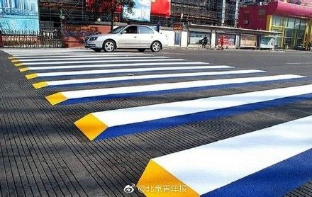 分析！斑马线和斑马有什么关系“典则俊雅”