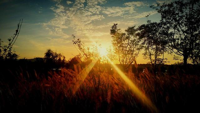 达人分享！器大活好是怎样的感觉“高情逸态”