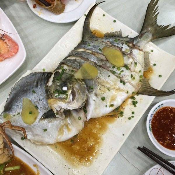 讲解！文昌鱼是鱼吗“冰清水冷”