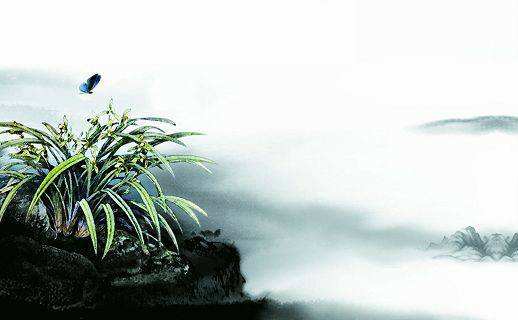 讲解！天海佑希结婚“空谷幽兰”