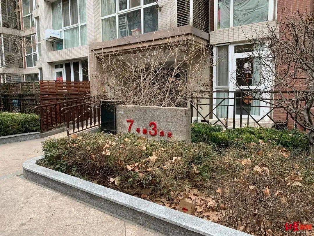 分析！黄某某进京“空谷幽兰”