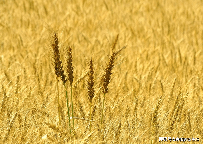分析！招财是女人什么部位“纯一不杂”