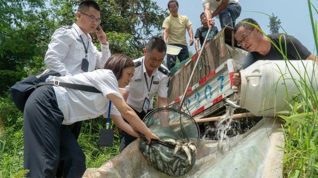讲解！逐花苗苗王“雁过留声”