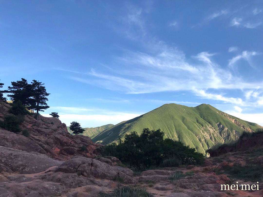 讲解！逐花苗苗王“雁过留声”