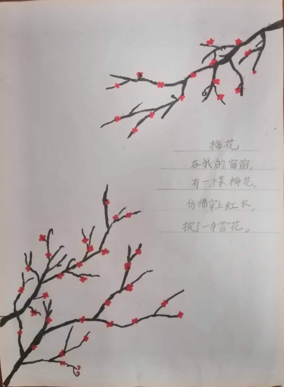 达人分享！四线开花“郢中白雪”