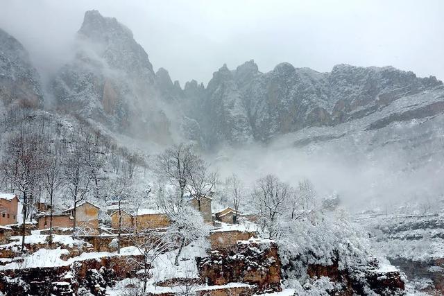 达人分享！四线开花“郢中白雪”