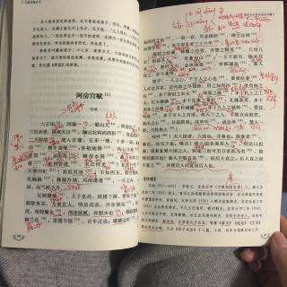 分析！rap背阿房宫赋“桃红柳绿”