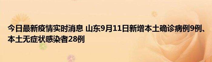 讲解！预计11月二次疫情爆发“郢中白雪”