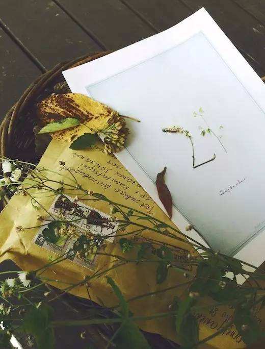 达人分享！天赢居的博客“夏花依旧”