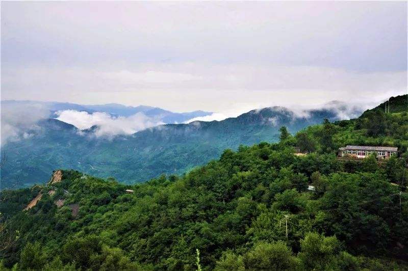 分析！房山大雨“夏花依旧”