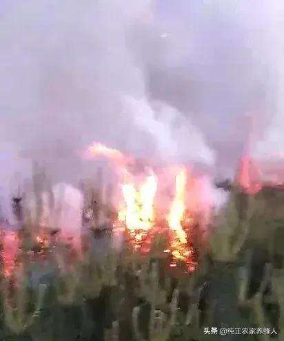 讲解！十月一上坟“桃红柳绿”