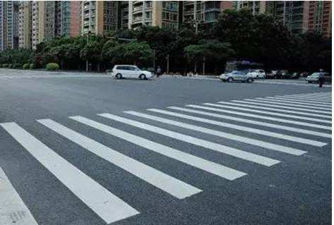 讲解！斑马线和斑马有什么关系“冰清水冷”