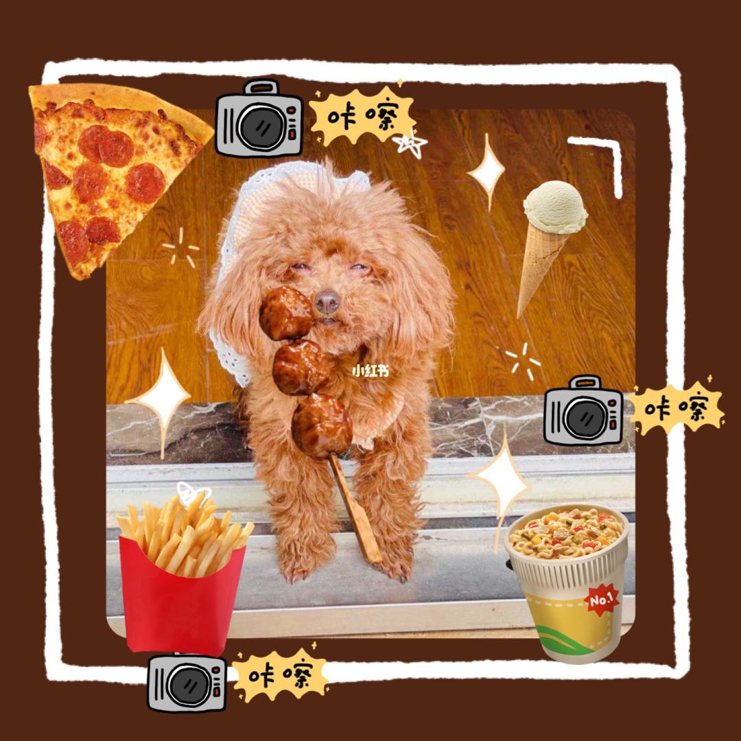 讲解！狗仔队道具卡“雁过留声”