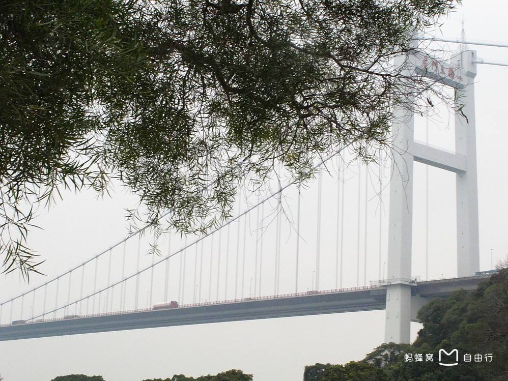 讲解！虎门大桥是谁出资建的