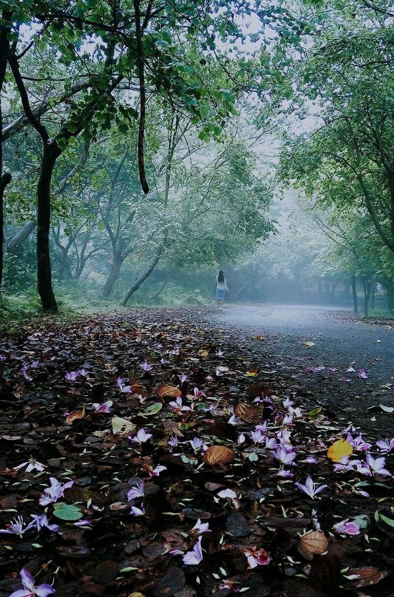 讲解！伤感短篇文章“星星点点”