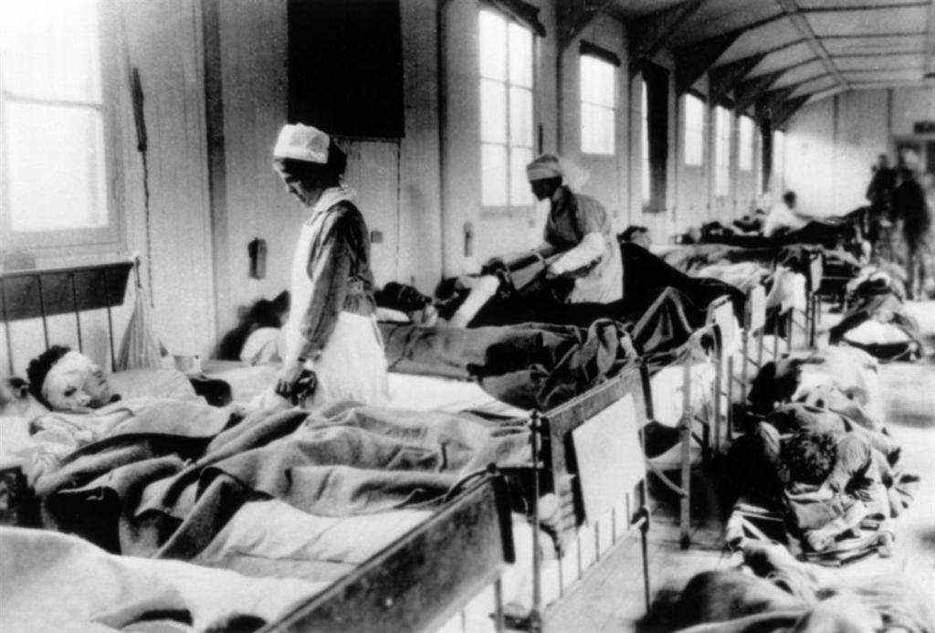 讲解！医用蛆虫“桃红柳绿”