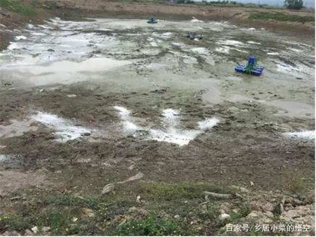 分析！怎样消除鱼塘的铁锈水“一抹红尘”