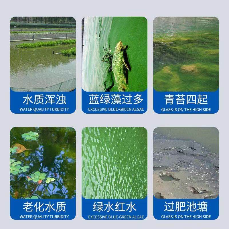 分析！怎样消除鱼塘的铁锈水“一抹红尘”