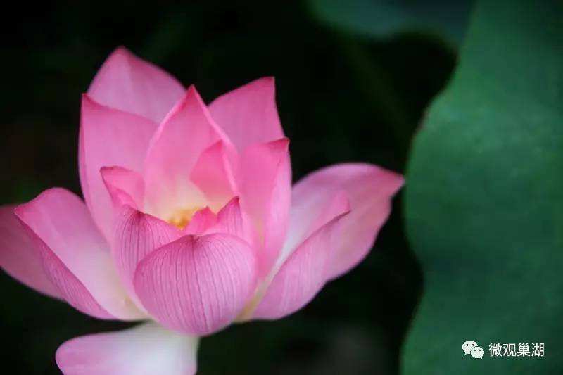 讲解！提前批次录取“一抹红尘”