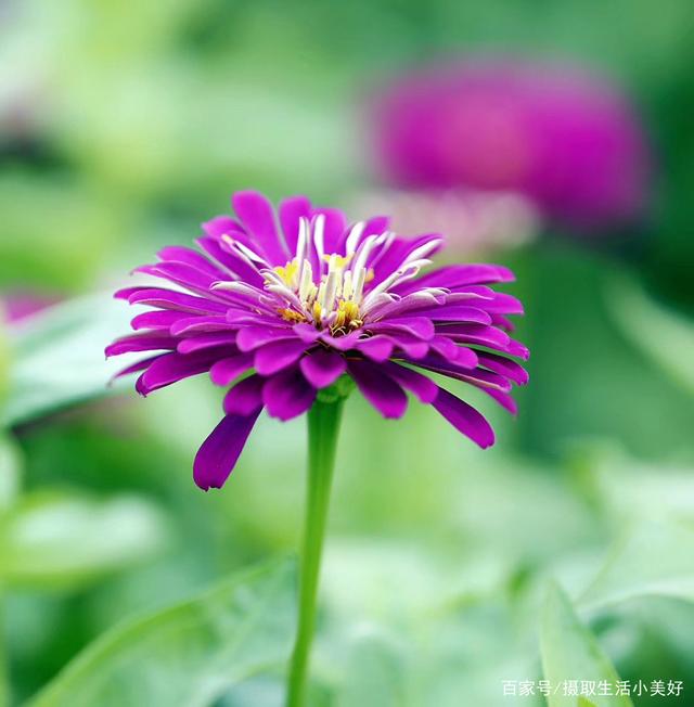 达人分享！2月4日几点立春“冰清水冷”