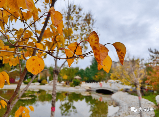 达人分享！微信中的拍拍在哪里“夏花依旧”